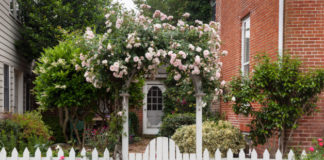 Costruire un cancelletto in legno 1325 0 Costruire un cancelletto in legno_ok